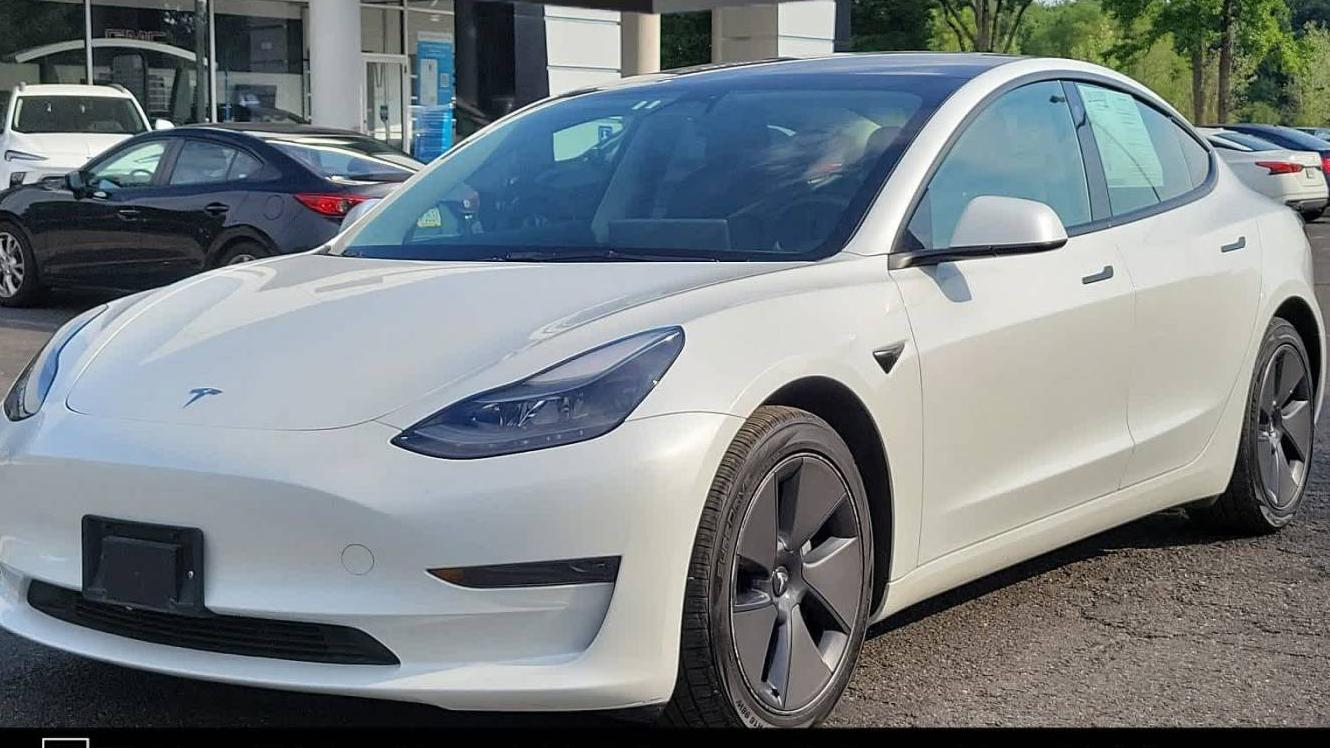 TESLA MODEL 3 2023 5YJ3E1EA1PF437183 image